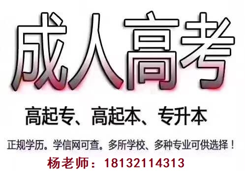 2022年河北成人高考考试内容