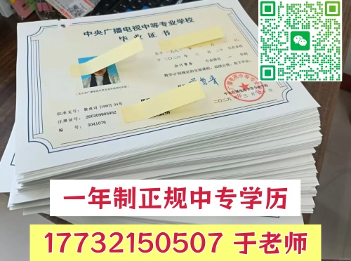 电大中专一年制与两年制差别在哪，政审该选择哪个学制